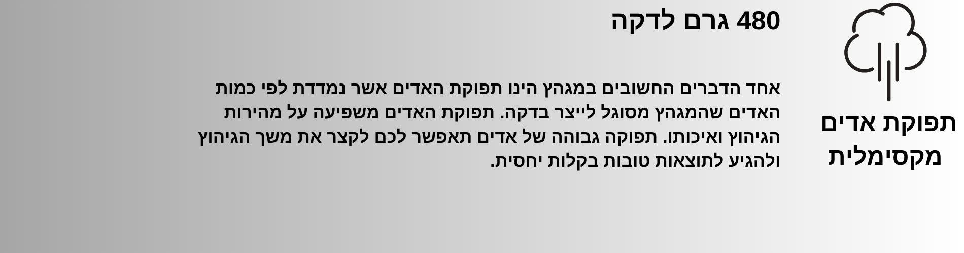 מגהץ קיטור Tefal SV8110E0